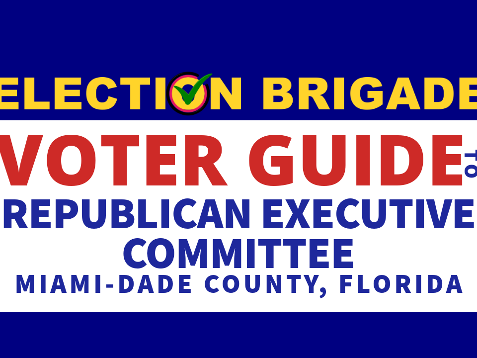 Election Brigade Voter Guide for REC, aka Republican Executve Committee Florida GOP